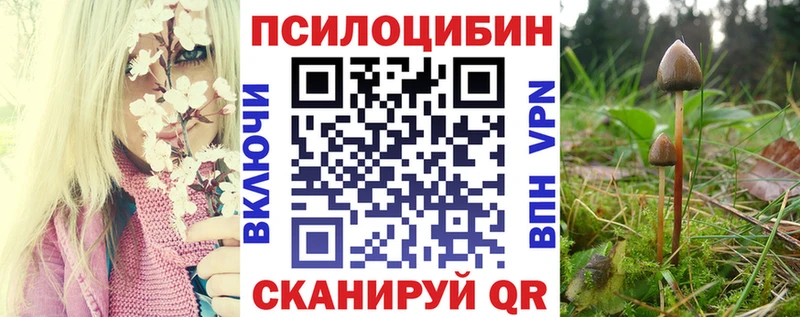 Галлюциногенные грибы GOLDEN TEACHER Оленегорск